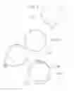 Fig. 06 - CANDYSHADE
