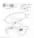 Fig. 09 - CANDYSHADE