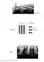 Fig. 06 - MANUFACTURING OF SINGLE OR MULTIPLE PANELS