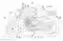 Fig. 01 - Air/oil-cooled internal combustion engine