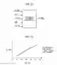 Fig. 16 - Internal combustion engine control apparatus