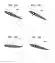 Fig. 37 - Wind energy conversion devices