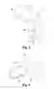 Fig. 03 - Motor vehicle vacuum pump