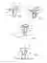 Fig. 02 - Fastening clip