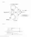 Fig. 04 - Power-transmitting friction belt and method for manufacturing same