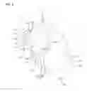 Fig. 07 - Power transfer device