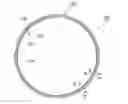Fig. 01 - Sealing ring