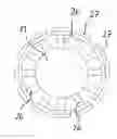 Fig. 01 - Pig and Pig Disc for a Pig