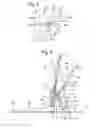 Fig. 06 - Stand for a portable device with a graphic user interface display