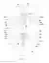 Fig. 19 - Adhesion-type holding structure mounted onto wall