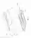 Fig. 04 - Gas fireplace