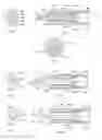 Fig. 06 - Multi-caliber firearms, bolt mechanisms, bolt lugs, and methods of using the same
