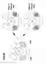Fig. 34 - Front quartersphere scattered light analysis