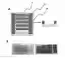 Fig. 01 - MEMBRANE PHASE ELECTRODE USING PRINTING AND BIO-MOLECULE DETECTION USING SAME