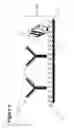 Fig. 10 - Electronic control of the pH of a solution close to an electrode surfaces