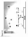 Fig. 29 - Electronic control of the pH of a solution close to an electrode surfaces