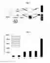 Fig. 02 - METHOD FOR DETECTING CADMIUM AND KIT FOR DETECTING CADMIUM USING FLUORESCENCE INTENSITY ACCORDING TO FORMATION OF CADMIUM NANOCLUSTER