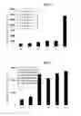 Fig. 03 - METHOD FOR DETECTING CADMIUM AND KIT FOR DETECTING CADMIUM USING FLUORESCENCE INTENSITY ACCORDING TO FORMATION OF CADMIUM NANOCLUSTER