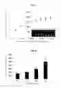 Fig. 04 - METHOD FOR DETECTING CADMIUM AND KIT FOR DETECTING CADMIUM USING FLUORESCENCE INTENSITY ACCORDING TO FORMATION OF CADMIUM NANOCLUSTER