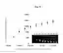 Fig. 06 - METHOD FOR DETECTING CADMIUM AND KIT FOR DETECTING CADMIUM USING FLUORESCENCE INTENSITY ACCORDING TO FORMATION OF CADMIUM NANOCLUSTER