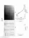 Fig. 07 - METHOD FOR DETECTING CADMIUM AND KIT FOR DETECTING CADMIUM USING FLUORESCENCE INTENSITY ACCORDING TO FORMATION OF CADMIUM NANOCLUSTER