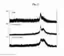 Fig. 09 - METHOD FOR DETECTING CADMIUM AND KIT FOR DETECTING CADMIUM USING FLUORESCENCE INTENSITY ACCORDING TO FORMATION OF CADMIUM NANOCLUSTER