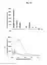 Fig. 11 - METHOD FOR DETECTING CADMIUM AND KIT FOR DETECTING CADMIUM USING FLUORESCENCE INTENSITY ACCORDING TO FORMATION OF CADMIUM NANOCLUSTER