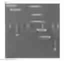 Fig. 20 - Live cell analysis apparatus, method for analyzing live cells, system for analyzing live cells and non-transitory data storage medium