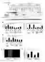 Fig. 13 - METHOD FOR SCREENING THERAPEUTIC AND/OR PROPHYLACTIC AGENTS FOR ALZHEIMER'S DISEASE
