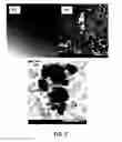 Fig. 04 - MULTIPLEXED MICROFLUIDIC PROTEOMIC PLATFORM