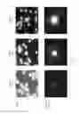 Fig. 03 - Methods for analyzing rare circulating cells