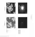 Fig. 04 - Methods for analyzing rare circulating cells