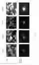 Fig. 05 - Methods for analyzing rare circulating cells