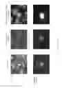 Fig. 06 - Methods for analyzing rare circulating cells