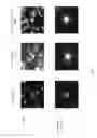Fig. 07 - Methods for analyzing rare circulating cells