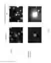 Fig. 08 - Methods for analyzing rare circulating cells