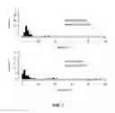 Fig. 09 - Methods for detecting levels of pigment epithelium-derived factor and antithrombin-III for characterising and/or prognosing prostate cancer