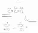 Fig. 09 - RAPID PHENOTYPE TESTS FOR ANTITUBERCULAR DRUG SENSITIVITY AND RESISTANCE