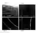 Fig. 04 - Sensor