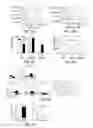 Fig. 09 - GALECTIN-9-SECRETING CELL, AND PRODUCTION METHOD AND USE OF THE SAME