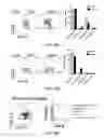 Fig. 20 - GALECTIN-9-SECRETING CELL, AND PRODUCTION METHOD AND USE OF THE SAME