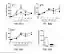 Fig. 23 - GALECTIN-9-SECRETING CELL, AND PRODUCTION METHOD AND USE OF THE SAME