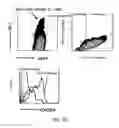 Fig. 24 - GALECTIN-9-SECRETING CELL, AND PRODUCTION METHOD AND USE OF THE SAME
