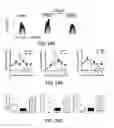 Fig. 25 - GALECTIN-9-SECRETING CELL, AND PRODUCTION METHOD AND USE OF THE SAME