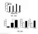 Fig. 33 - GALECTIN-9-SECRETING CELL, AND PRODUCTION METHOD AND USE OF THE SAME