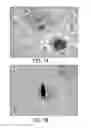 Fig. 02 - Antibody based reagents that specifically recognize neurodegenerative disease related forms of the protein TDP-43