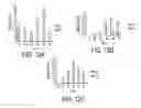 Fig. 15 - Antibody based reagents that specifically recognize neurodegenerative disease related forms of the protein TDP-43