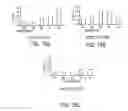 Fig. 18 - Antibody based reagents that specifically recognize neurodegenerative disease related forms of the protein TDP-43