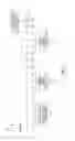 Fig. 08 - ADAPTIVE TEST TIME REDUCTION