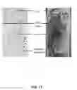 Fig. 18 - Beta and alpha emission tomography for three-dimensional autoradiography